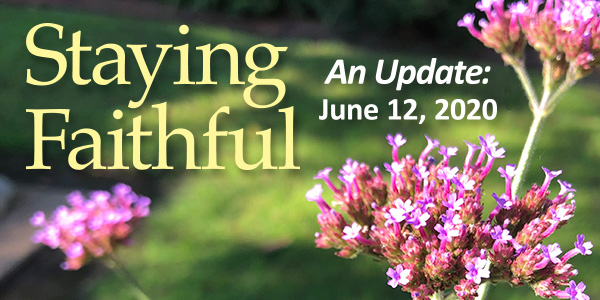 With unfailing gratitude