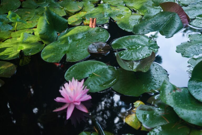 Group Spiritual Direction: Deepening Awareness of God